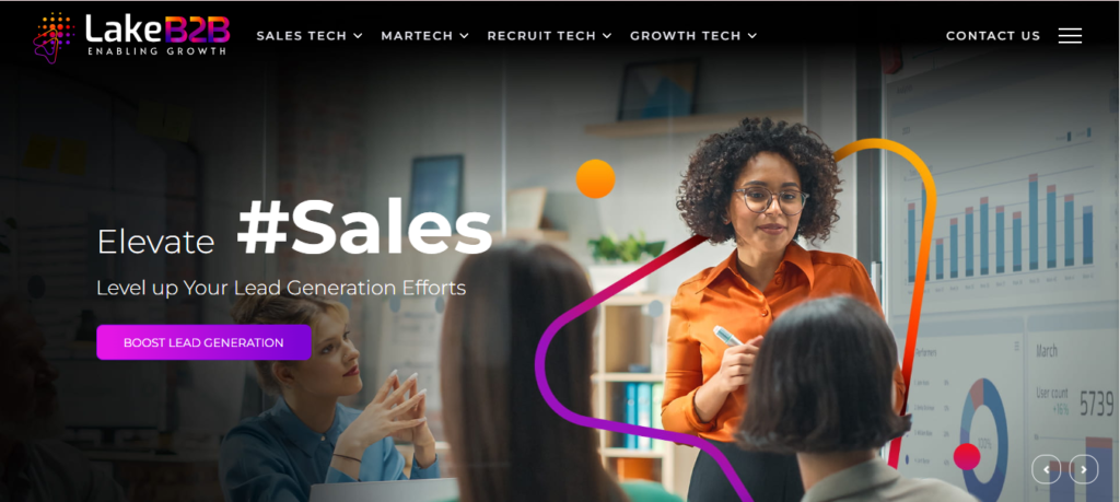 Lake B2B website Home Page image